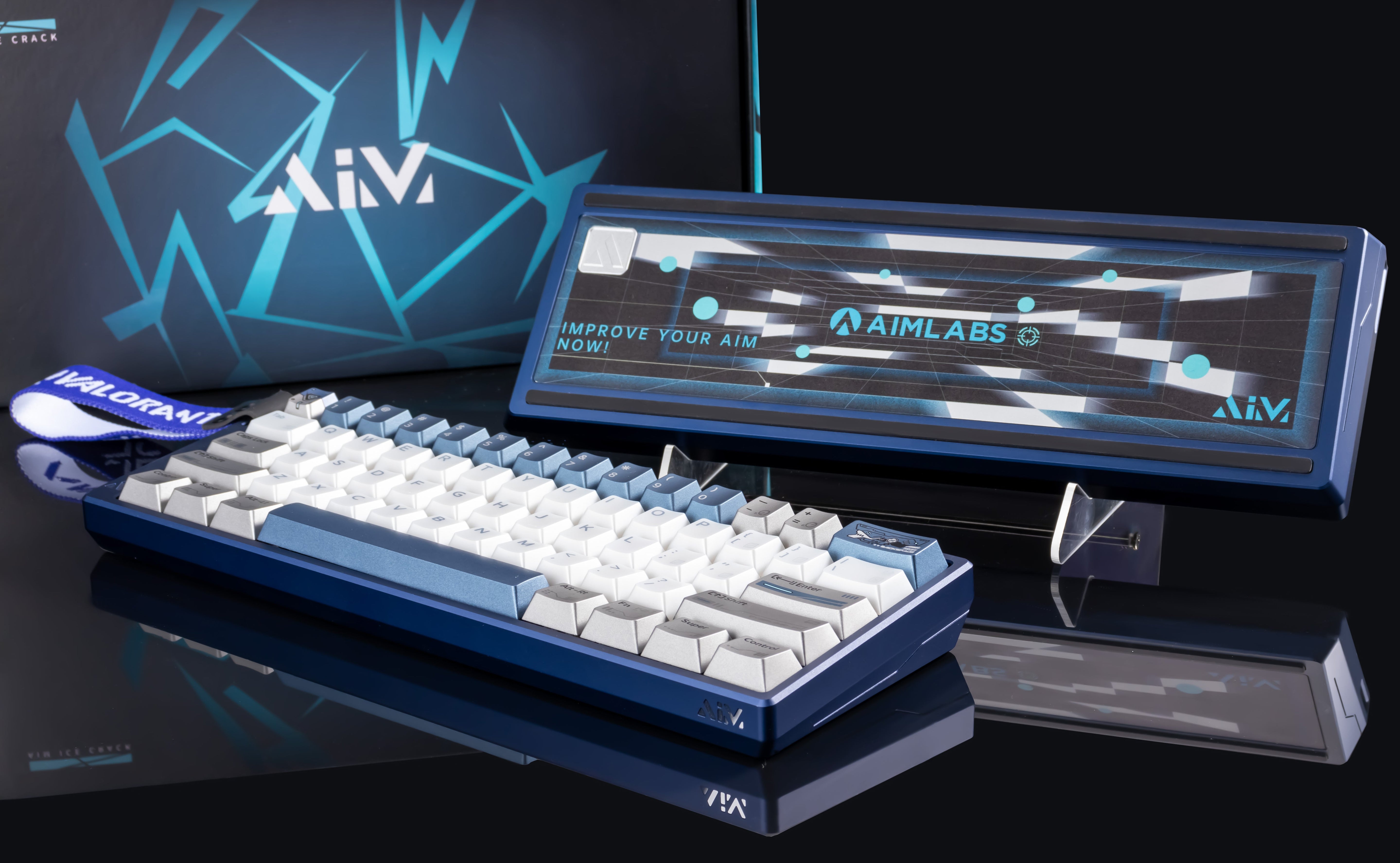 AIM60x