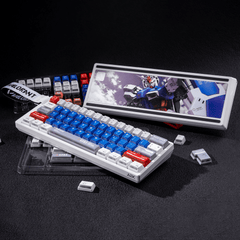AIM60X Case-4