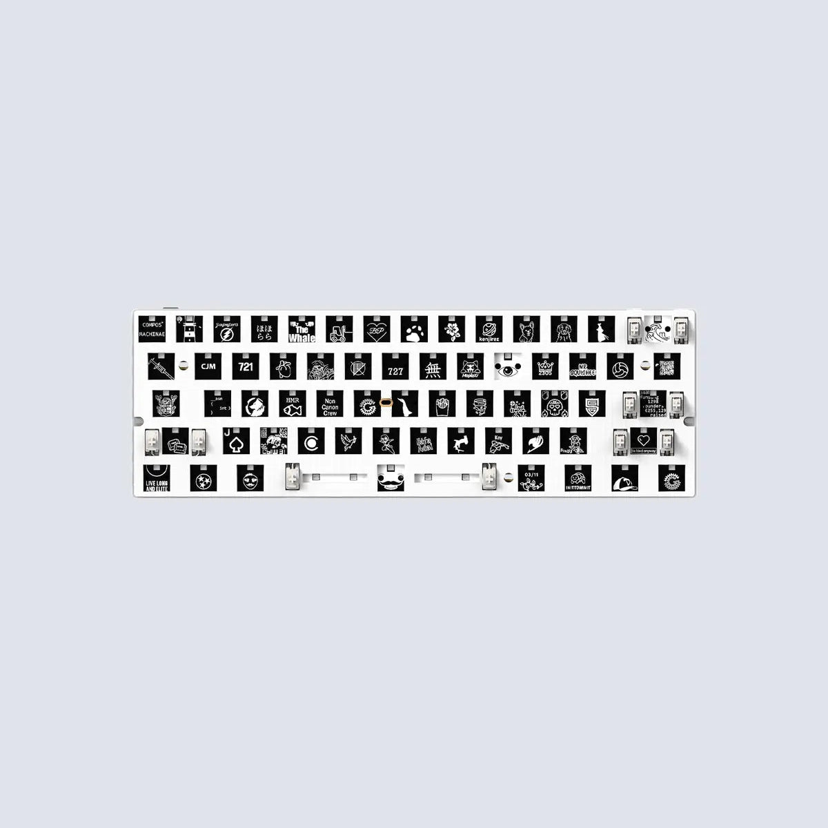 Wooting 60HE v2 Module