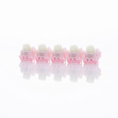 WS Flux Switch-4