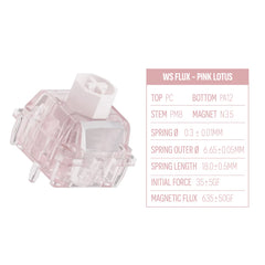 WS Flux Switch-1