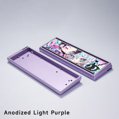 AIM60X Case-24